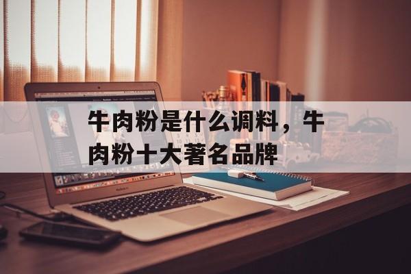 牛肉粉是什么调料，牛肉粉十大著名品牌-第1张图片-