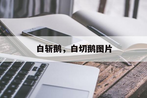 白斩鹅，白切鹅图片-第1张图片-