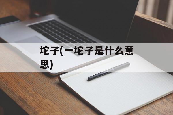 坨子(一坨子是什么意思)-第1张图片-