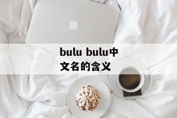 bulu bulu中文名的含义-第1张图片-