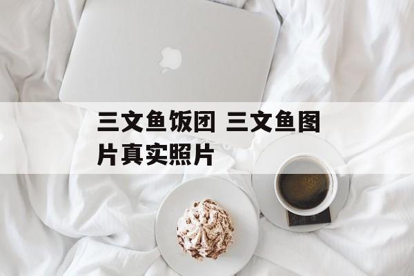 三文鱼饭团 三文鱼图片真实照片-第1张图片-
