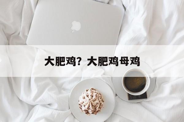 大肥鸡？大肥鸡母鸡-第1张图片-