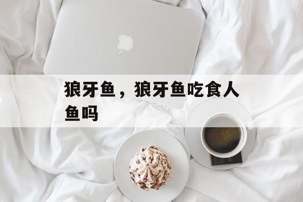 狼牙鱼，狼牙鱼吃食人鱼吗-第1张图片-