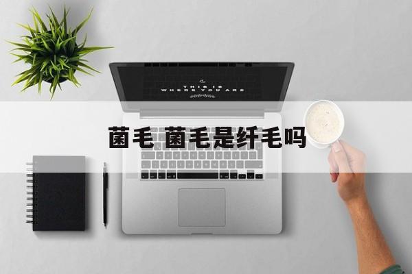 菌毛 菌毛是纤毛吗-第1张图片-