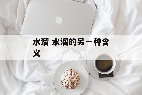 水溜 水溜的另一种含义-第1张图片-