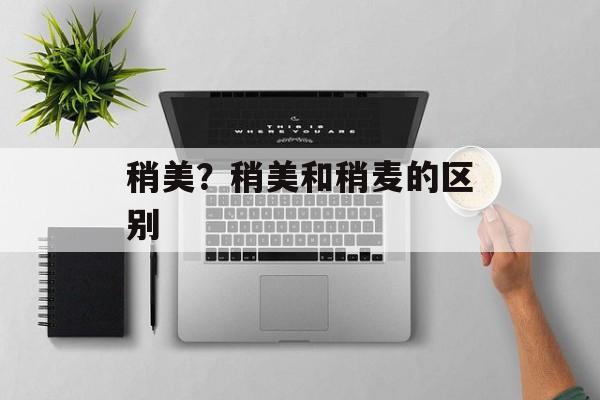 稍美？稍美和稍麦的区别-第1张图片-