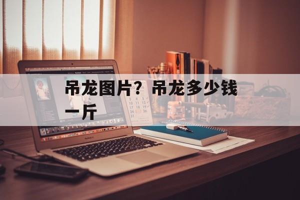 吊龙图片？吊龙多少钱一斤-第1张图片-