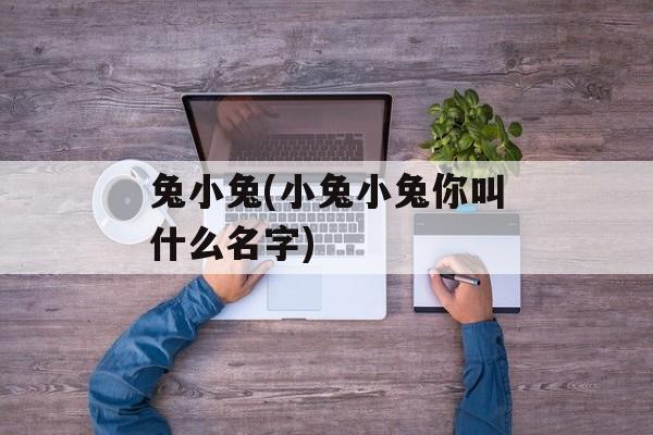 兔小兔(小兔小兔你叫什么名字)-第1张图片-