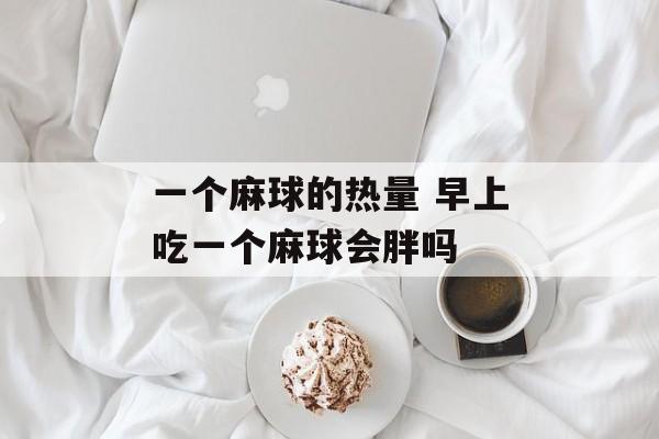 一个麻球的热量 早上吃一个麻球会胖吗-第1张图片-