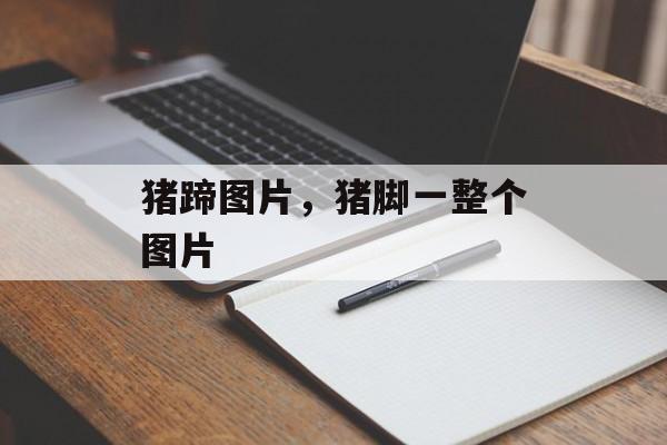 猪蹄图片，猪脚一整个图片-第1张图片-
