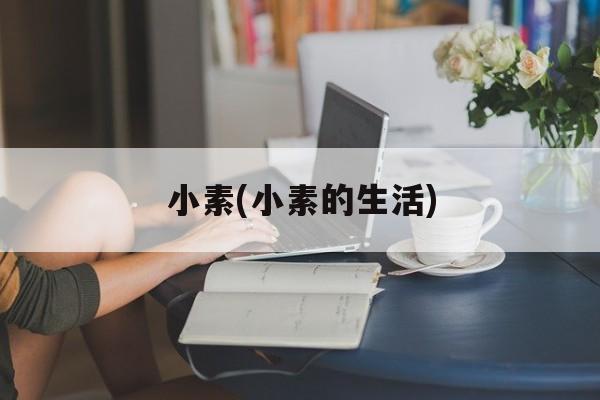 小素(小素的生活)-第1张图片-