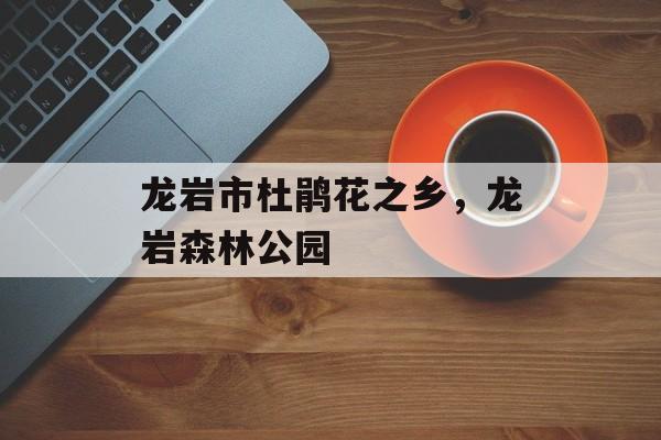 龙岩市杜鹃花之乡，龙岩森林公园-第1张图片-