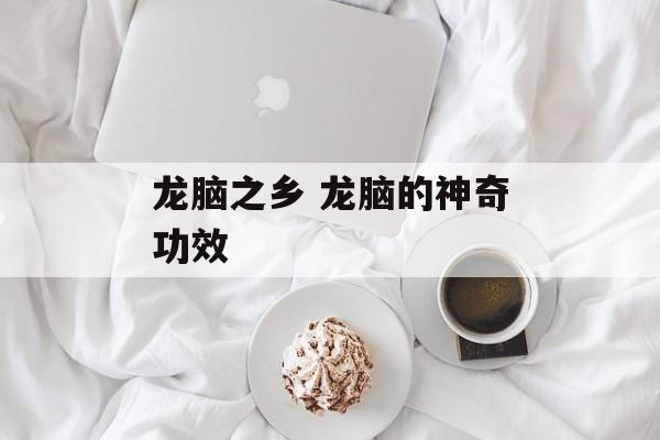 龙脑之乡 龙脑的神奇功效-第1张图片-