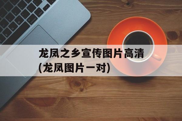 龙凤之乡宣传图片高清(龙凤图片一对)-第1张图片-