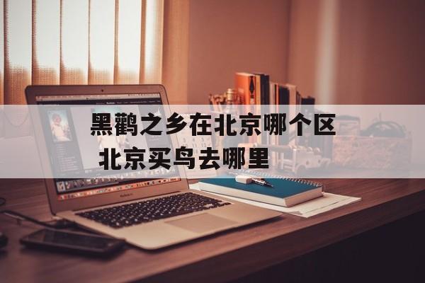 黑鹳之乡在北京哪个区 北京买鸟去哪里-第1张图片-
