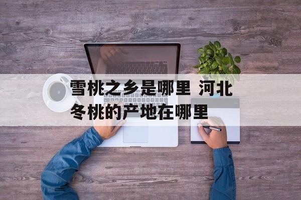 雪桃之乡是哪里 河北冬桃的产地在哪里-第1张图片-