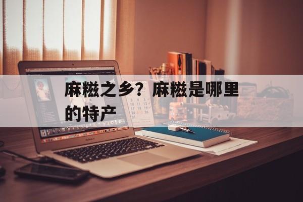 麻糍之乡？麻糍是哪里的特产-第1张图片-