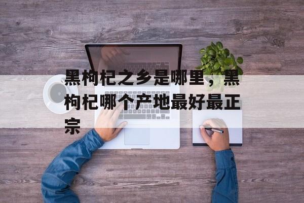 黑枸杞之乡是哪里，黑枸杞哪个产地最好最正宗-第1张图片-