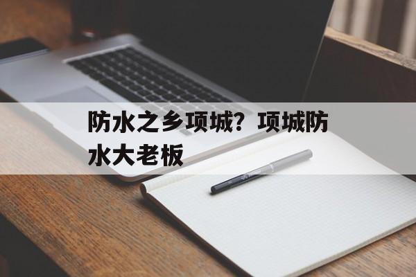 防水之乡项城？项城防水大老板-第1张图片-