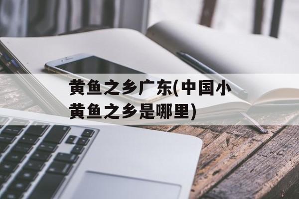黄鱼之乡广东(中国小黄鱼之乡是哪里)-第1张图片-