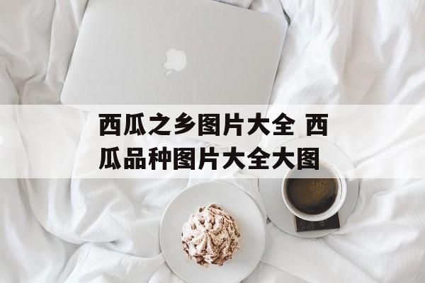 西瓜之乡图片大全 西瓜品种图片大全大图-第1张图片-