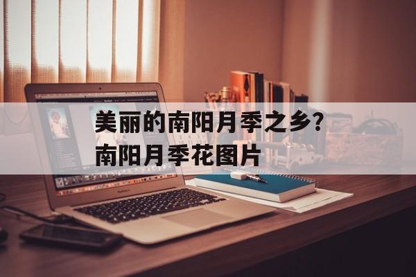 美丽的南阳月季之乡？南阳月季花图片-第1张图片-
