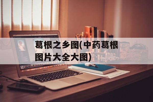 葛根之乡图(中药葛根图片大全大图)-第1张图片-