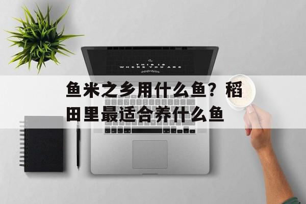鱼米之乡用什么鱼？稻田里最适合养什么鱼-第1张图片-
