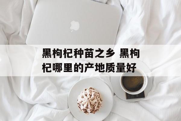 黑枸杞种苗之乡 黑枸杞哪里的产地质量好-第1张图片-