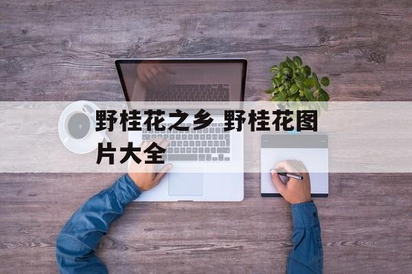 野桂花之乡 野桂花图片大全-第1张图片-