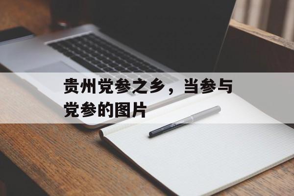 贵州党参之乡，当参与党参的图片-第1张图片-