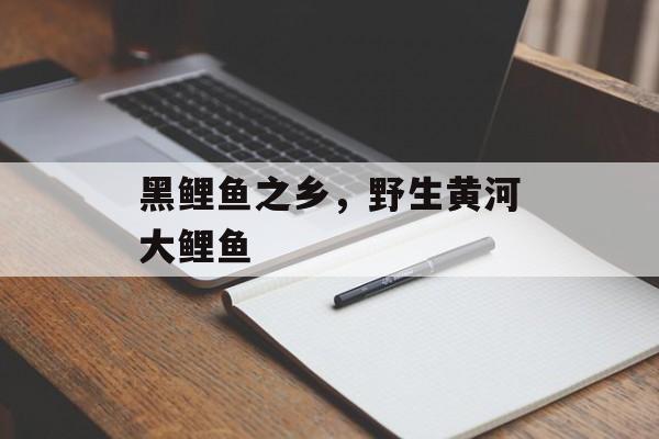黑鲤鱼之乡，野生黄河大鲤鱼-第1张图片-
