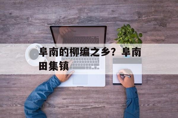 阜南的柳编之乡？阜南田集镇-第1张图片-
