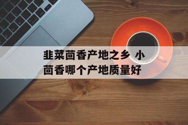 韭菜茴香产地之乡 小茴香哪个产地质量好-第1张图片-