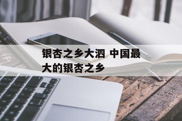 银杏之乡大泗 中国最大的银杏之乡-第1张图片-