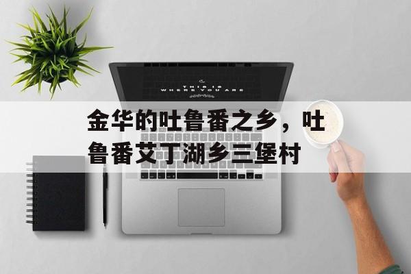金华的吐鲁番之乡，吐鲁番艾丁湖乡三堡村-第1张图片-