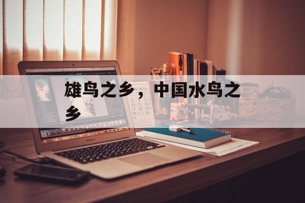 雄鸟之乡，中国水鸟之乡-第1张图片-