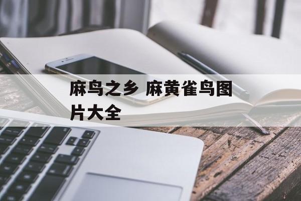 麻鸟之乡 麻黄雀鸟图片大全-第1张图片-