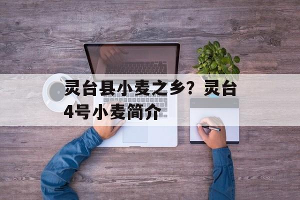 灵台县小麦之乡？灵台4号小麦简介-第1张图片-