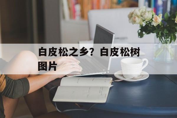 白皮松之乡？白皮松树图片-第1张图片-