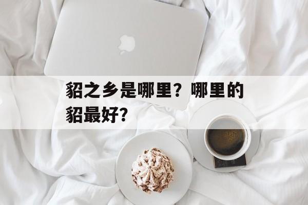 貂之乡是哪里？哪里的貂最好？-第1张图片-