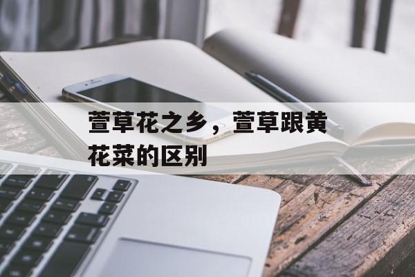 萱草花之乡，萱草跟黄花菜的区别-第1张图片-