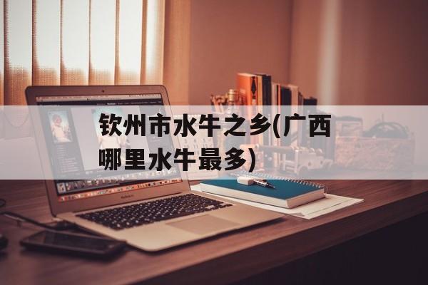钦州市水牛之乡(广西哪里水牛最多)-第1张图片-