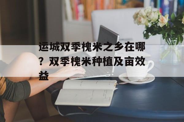 运城双季槐米之乡在哪？双季槐米种植及亩效益-第1张图片-