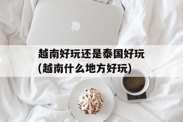 越南好玩还是泰国好玩(越南什么地方好玩)-第1张图片-