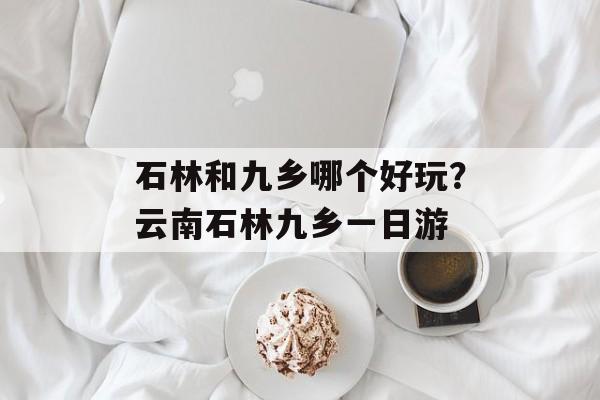 石林和九乡哪个好玩？云南石林九乡一日游-第1张图片-