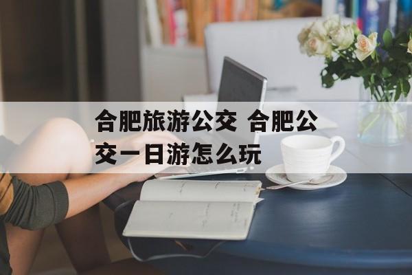 合肥旅游公交 合肥公交一日游怎么玩-第1张图片-