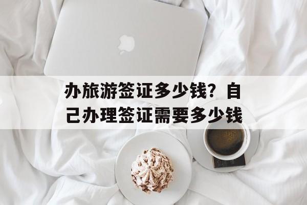 办旅游签证多少钱？自己办理签证需要多少钱-第1张图片-