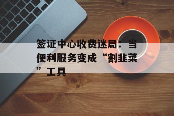 签证中心收费迷局:当便利服务变成“割韭菜”工具-第1张图片- 签证中心收费迷局:当便利服务变成“割韭菜”工具-第1张图片-