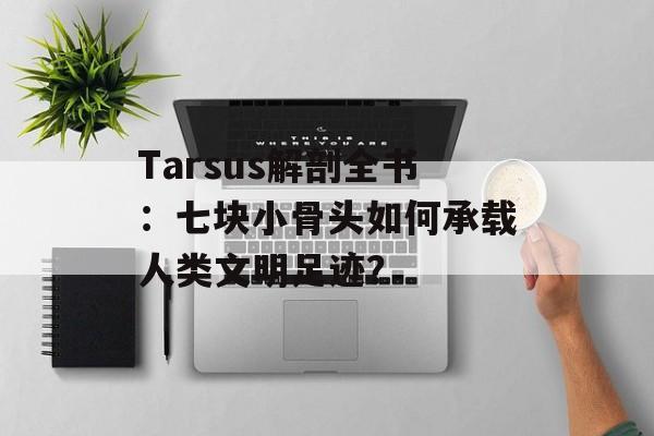 Tarsus解剖全书：七块小骨头如何承载人类文明足迹？-第1张图片-